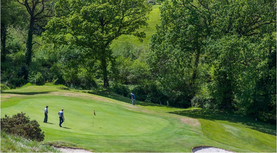 Photo of Trethorne Golf Club